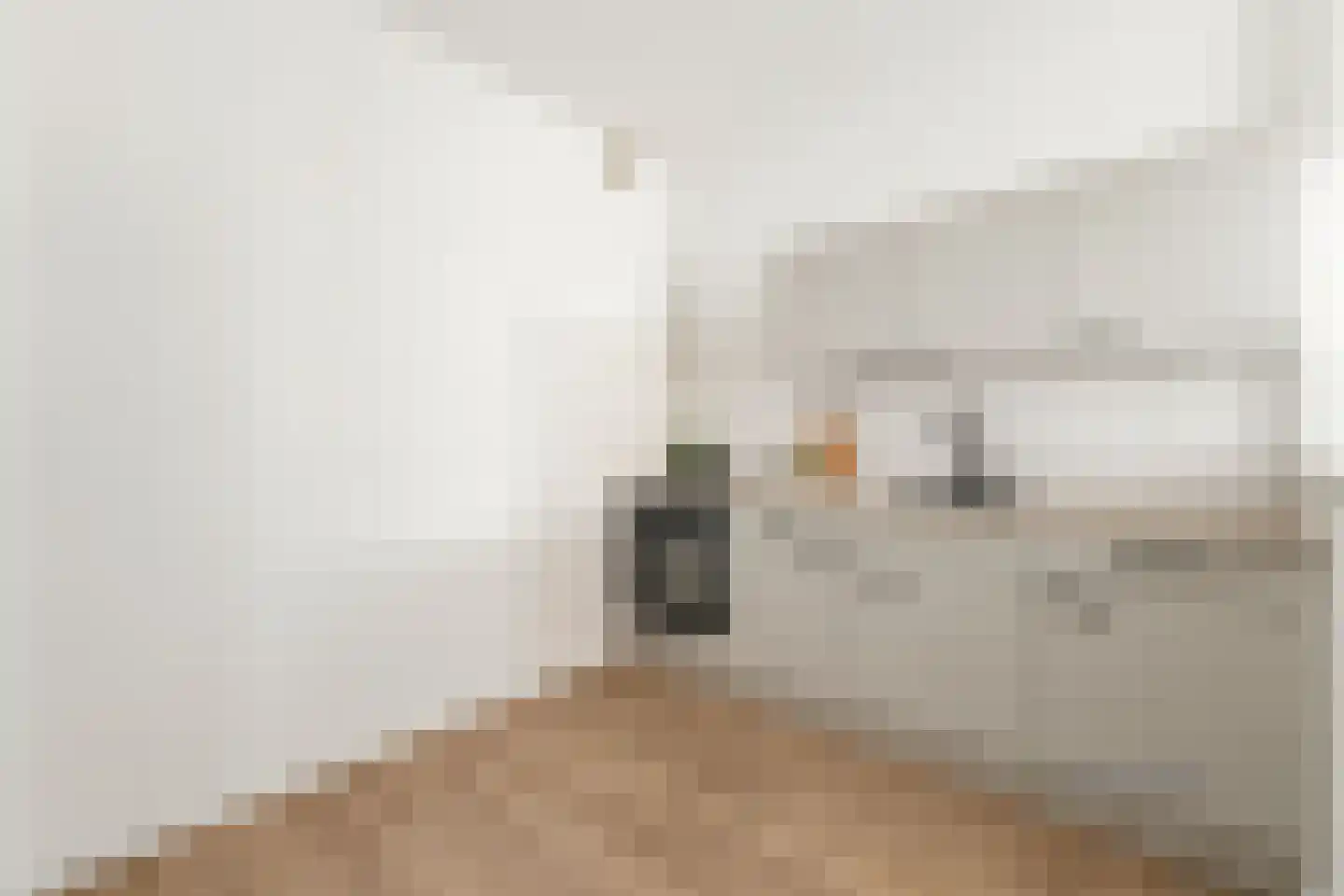 Rosenburch 76 Leiden thumbnail 7