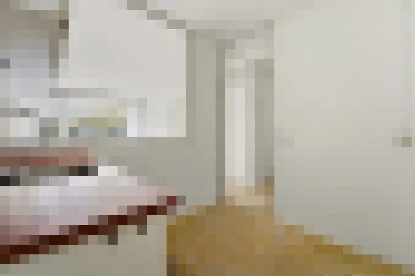 Rosenburch 76 Leiden thumbnail 8