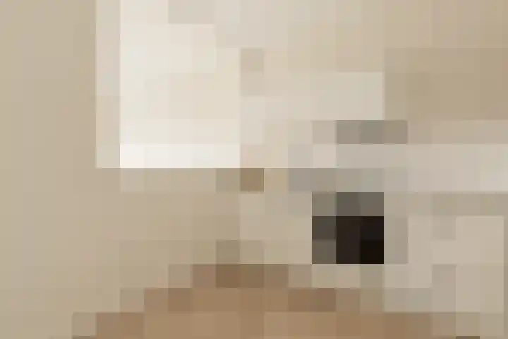 Rosenburch 91 Leiden thumbnail 6