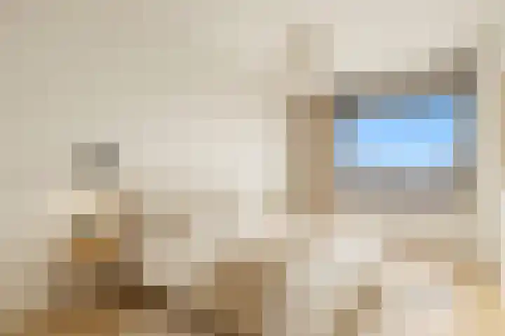 Rosenburch 91 Leiden thumbnail 9