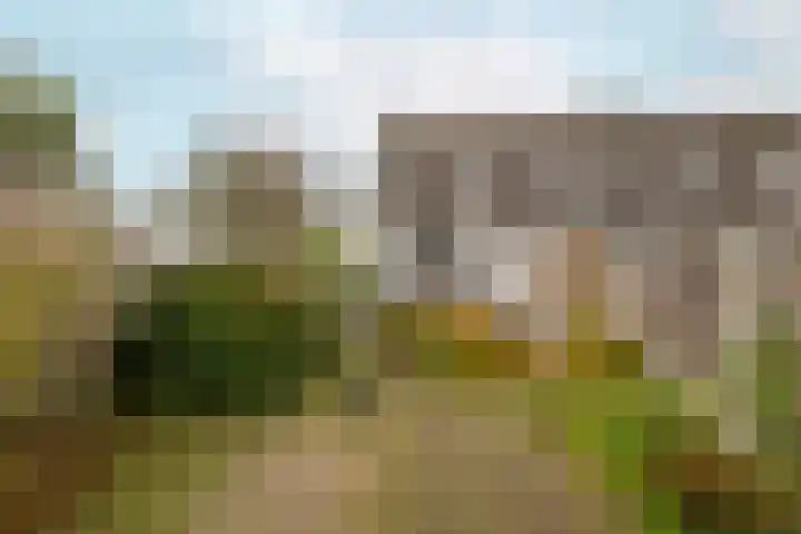 Rosenburglaan 2 Vlissingen thumbnail 23