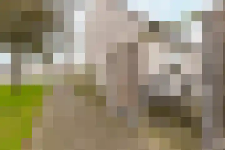 Rosenburglaan 2 Vlissingen thumbnail 24