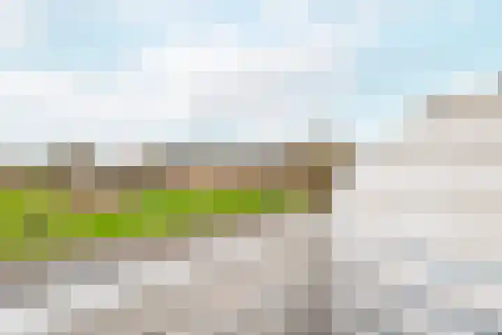 Rosenburglaan 2 Vlissingen thumbnail 37