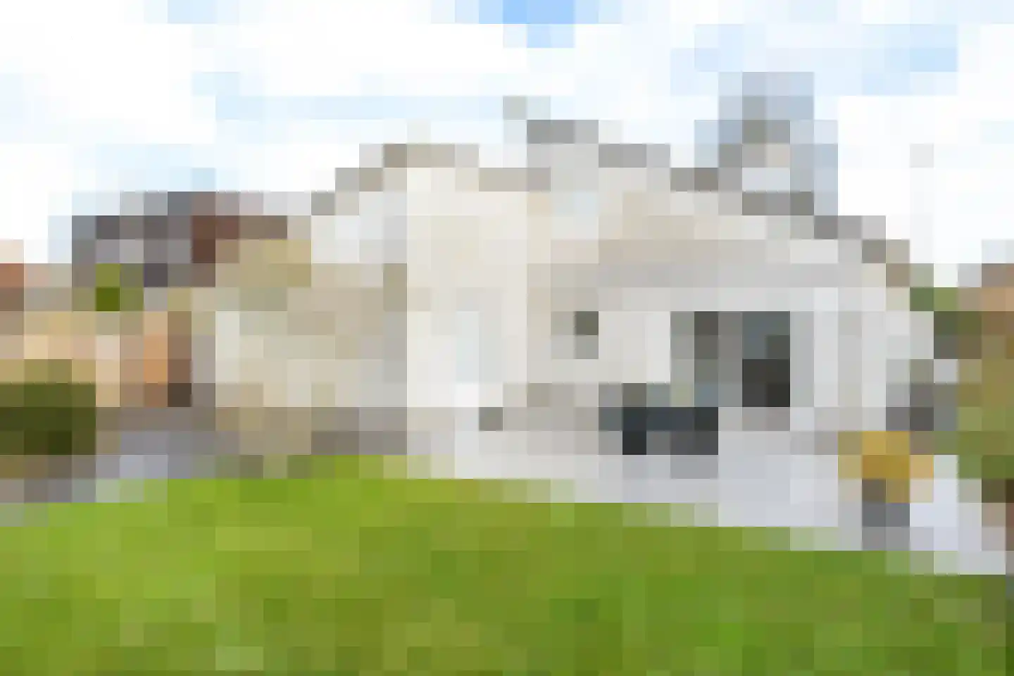 Rosenburglaan 231 Vlissingen thumbnail 4