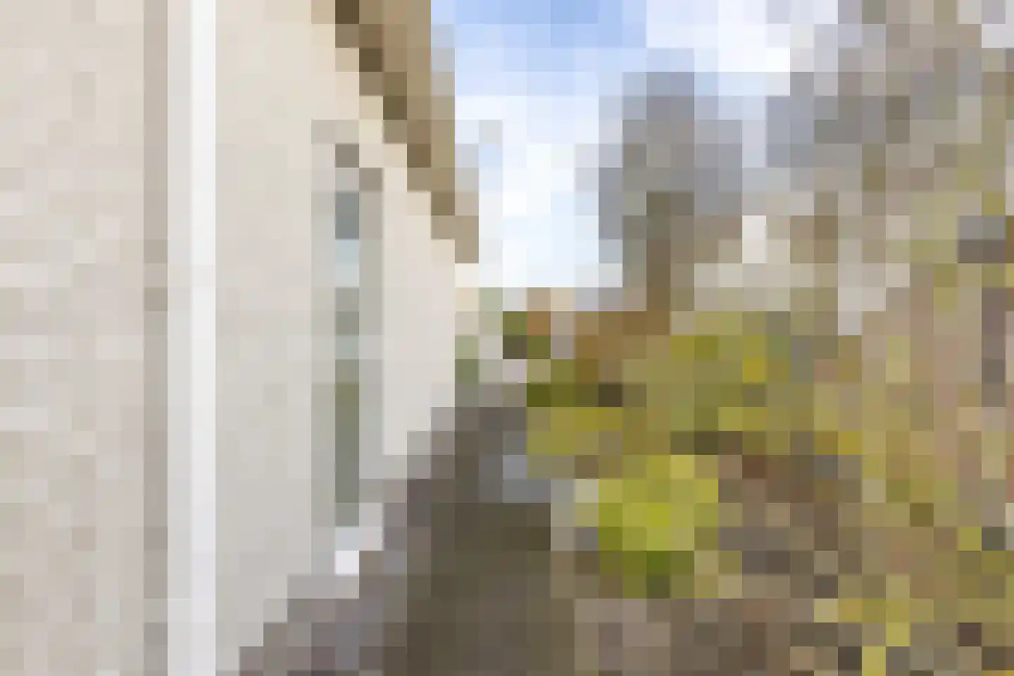 Rosenburglaan 231 Vlissingen thumbnail 41