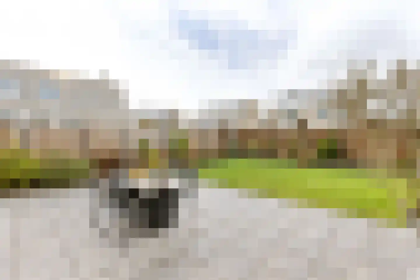 Rosenburglaan 231 Vlissingen thumbnail 6