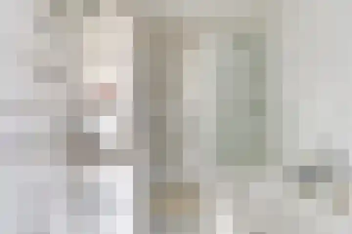 Rosenburglaan 323 Vlissingen thumbnail 19
