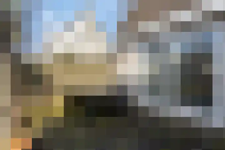 Rosenburglaan 34 Vlissingen thumbnail 32