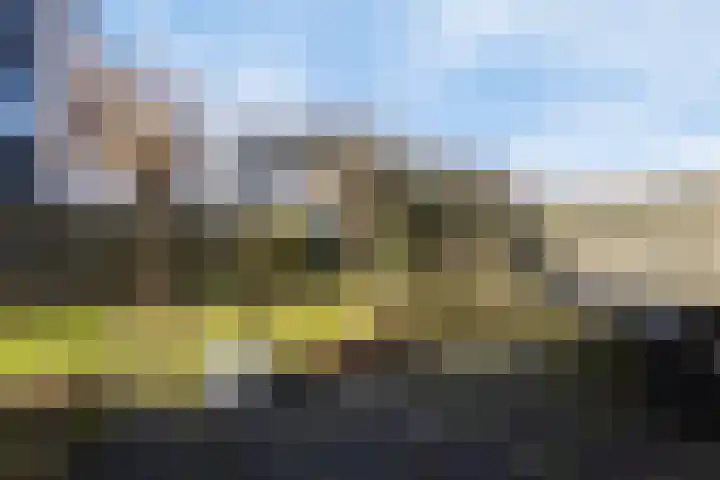 Rosenburglaan 34 Vlissingen thumbnail 33