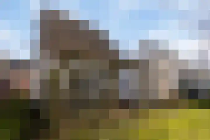 Rosenburglaan 34 Vlissingen thumbnail 35