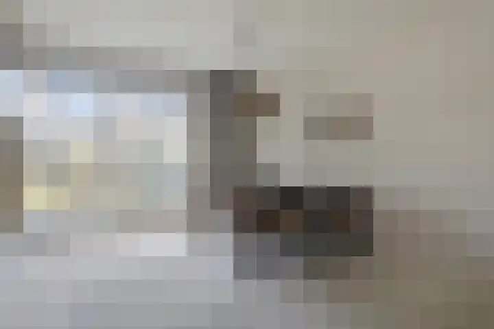 Rosenburglaan 34 Vlissingen thumbnail 9