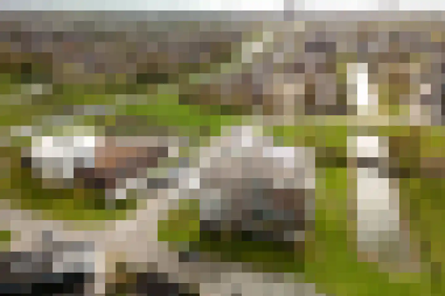 Rosenburglaan 341 Vlissingen thumbnail 33