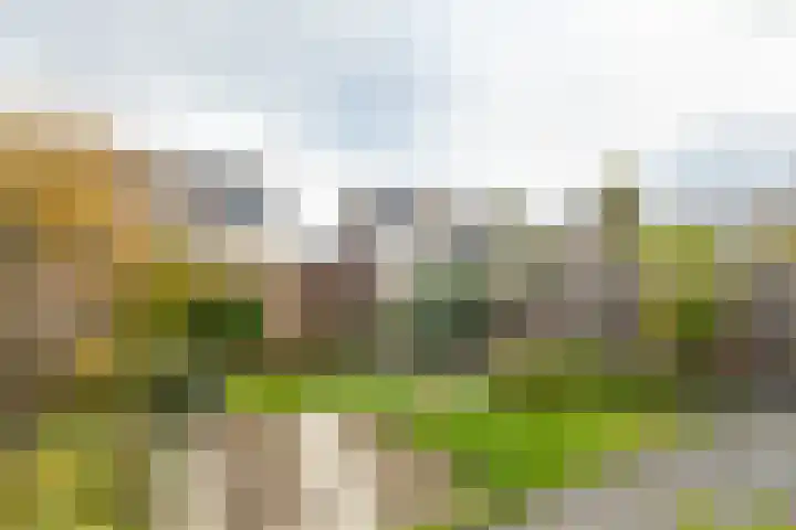 Rosenburglaan 46 Vlissingen thumbnail 33
