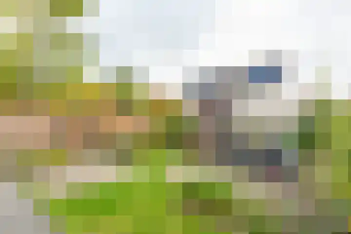 Rosenburglaan 46 Vlissingen thumbnail 34