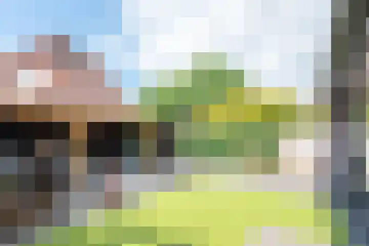Rosendaal 49 Heiloo thumbnail 37