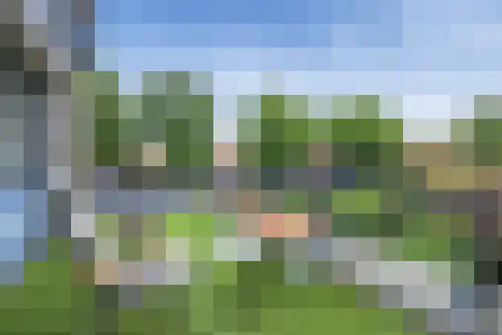 Rosendaal 70 Heiloo thumbnail 6