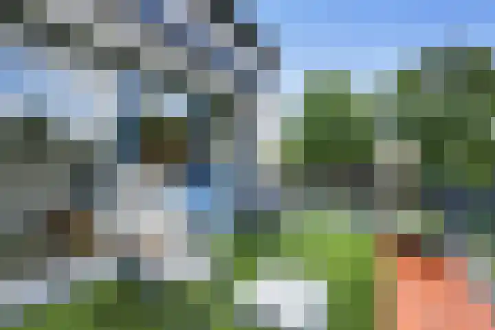 Rosendaal 70 Heiloo thumbnail 7