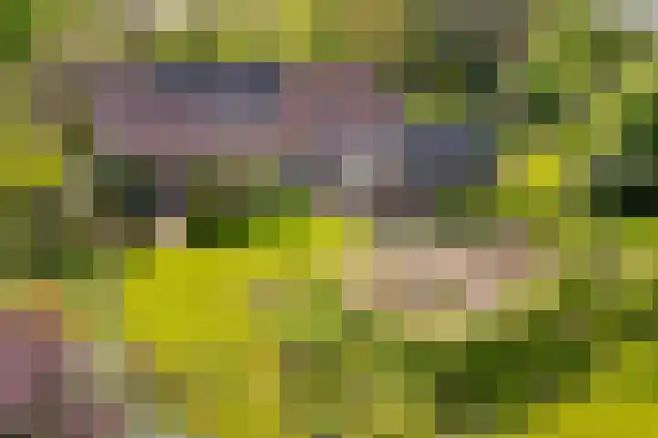 Rosendaalselaan 11 Rozendaal thumbnail 4