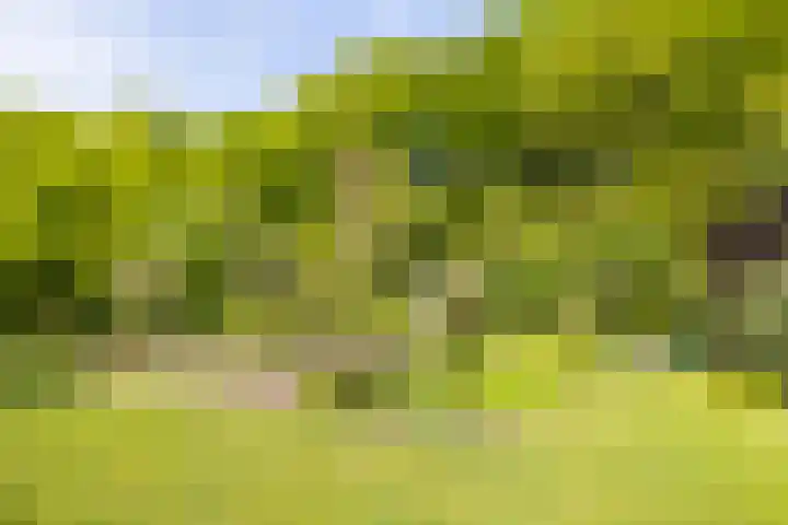 Rosendaalselaan 11 Rozendaal thumbnail 45