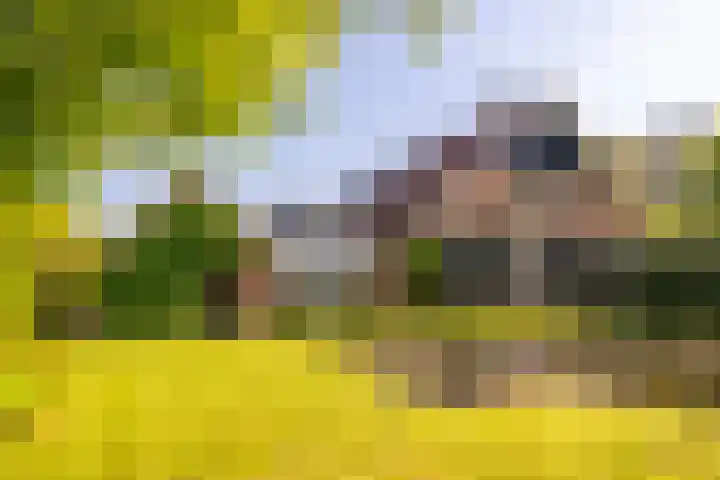 Rosendaalselaan 11 Rozendaal thumbnail 69