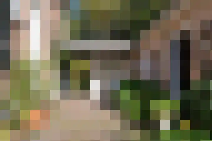 Rosendaalselaan 29 Rozendaal thumbnail 10
