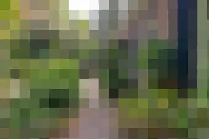 Rosendaalselaan 29 Rozendaal thumbnail 11