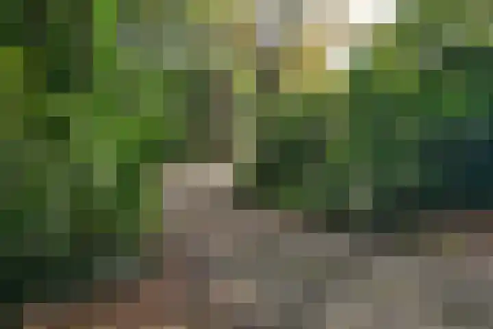 Rosendaalselaan 29 Rozendaal thumbnail 7