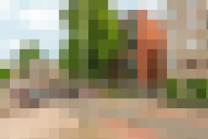Rosendaalsestraat 10 2 Arnhem thumbnail 22