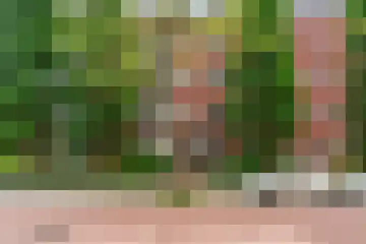 Rosendaalsestraat 10 2 Arnhem thumbnail 32