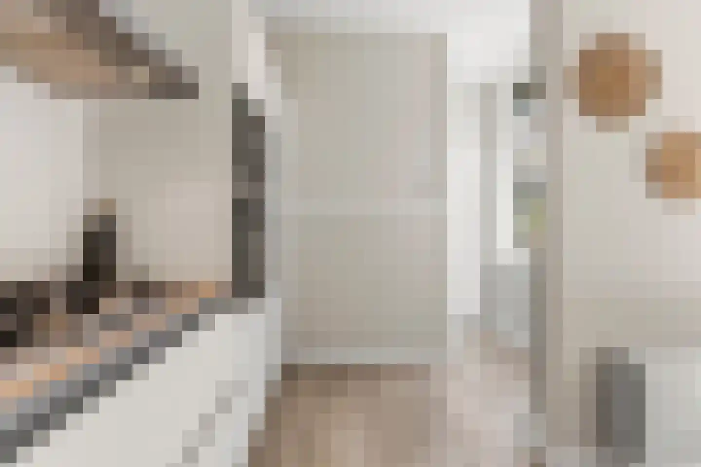Rosendaalsestraat 192 Arnhem thumbnail 17