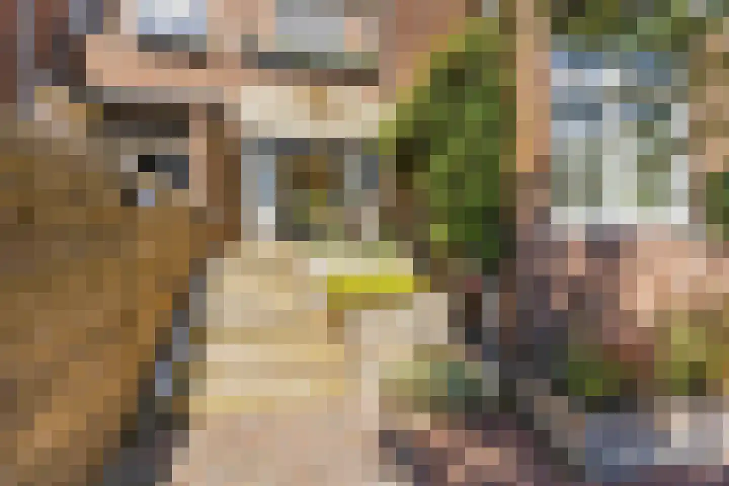 Rosendaalsestraat 192 Arnhem thumbnail 34