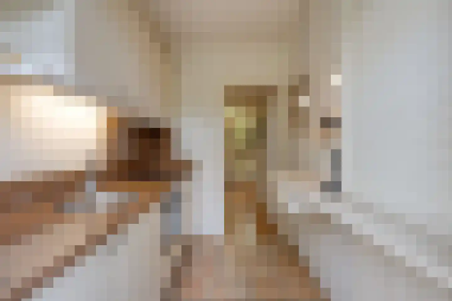 Rosendaalsestraat 222 Arnhem thumbnail 12