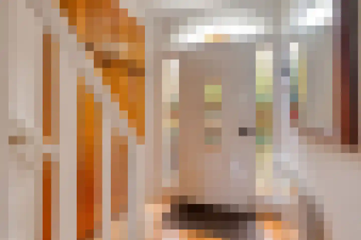 Rosendaalsestraat 222 Arnhem thumbnail 15