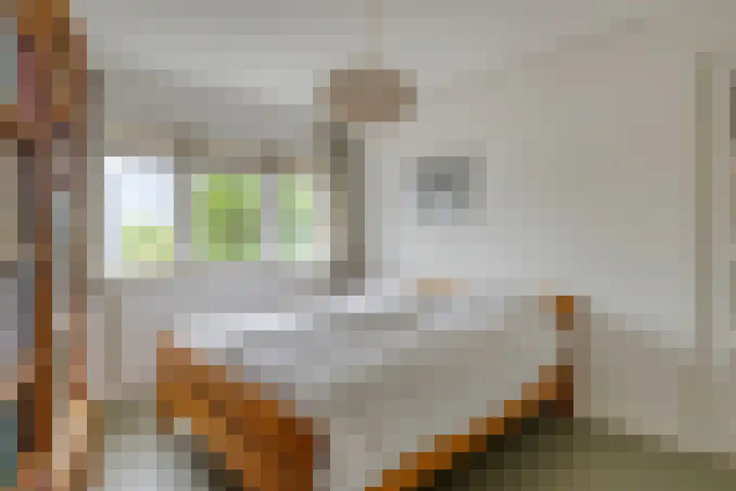 Rosendaalsestraat 222 Arnhem thumbnail 25