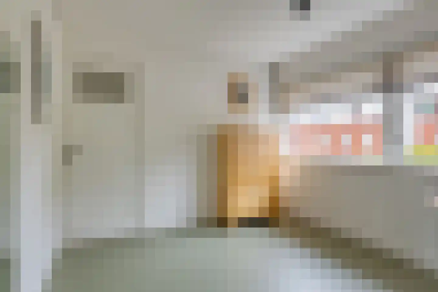 Rosendaalsestraat 222 Arnhem thumbnail 32