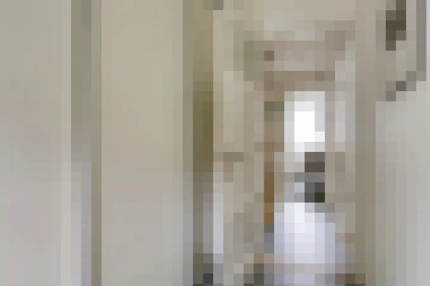 Rosendaalsestraat 222 Arnhem thumbnail 35