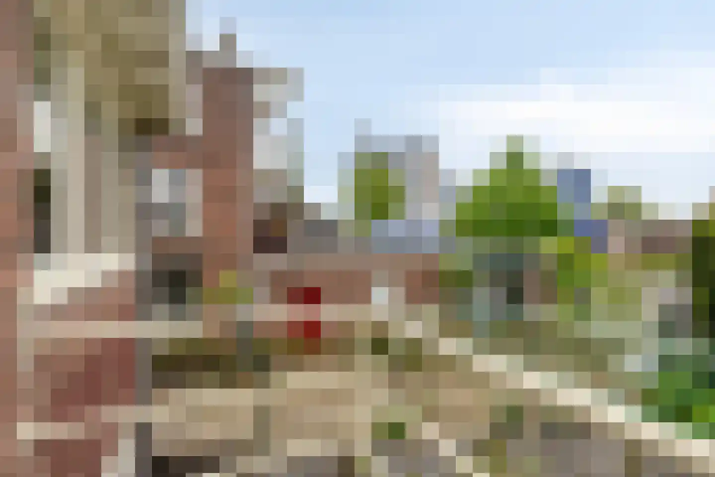 Rosendaalsestraat 222 Arnhem thumbnail 36