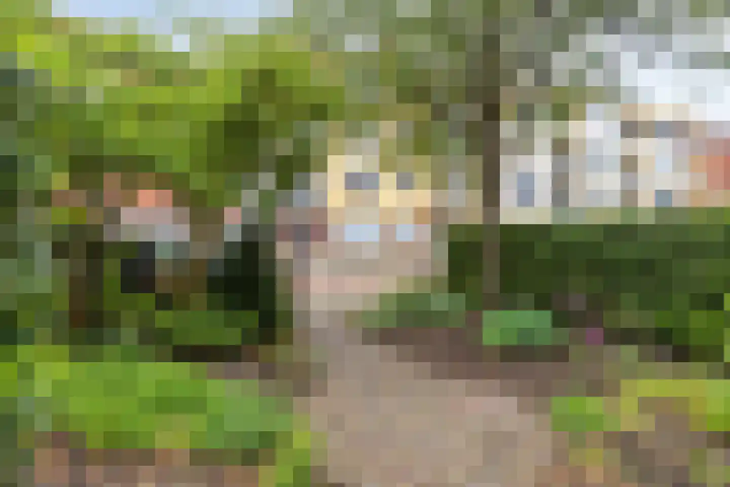 Rosendaalsestraat 222 Arnhem thumbnail 47