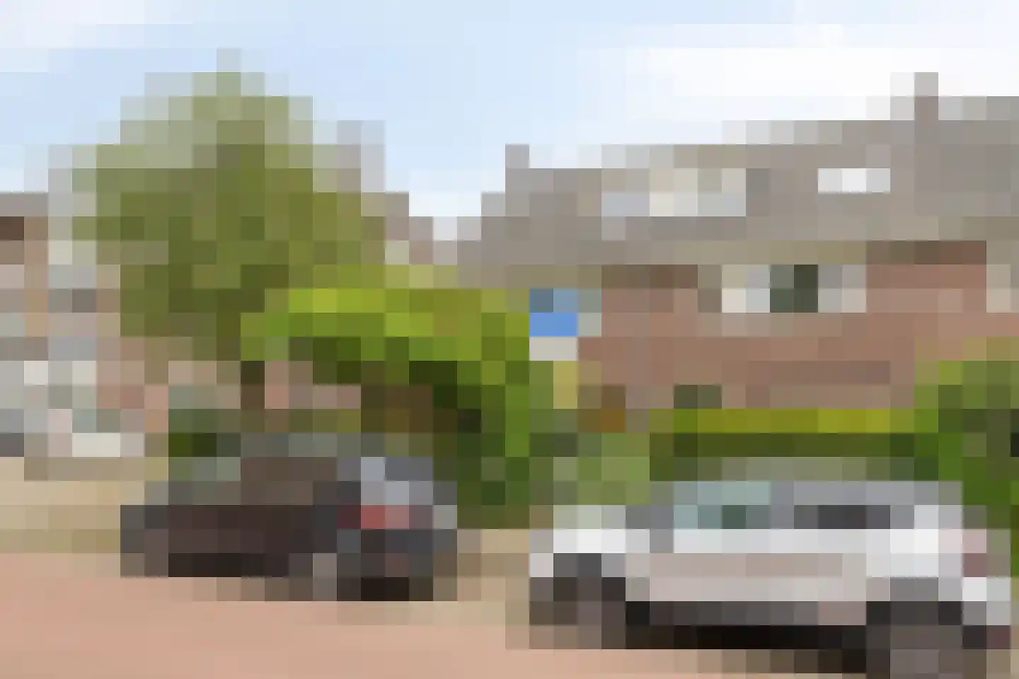 Rosendaalsestraat 222 Arnhem thumbnail 50