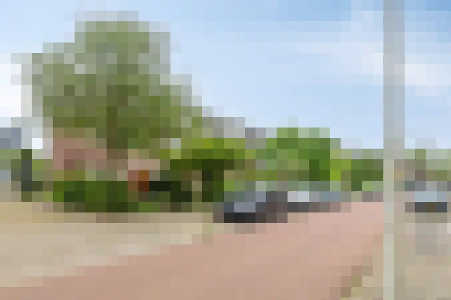 Rosendaalsestraat 222 Arnhem thumbnail 52