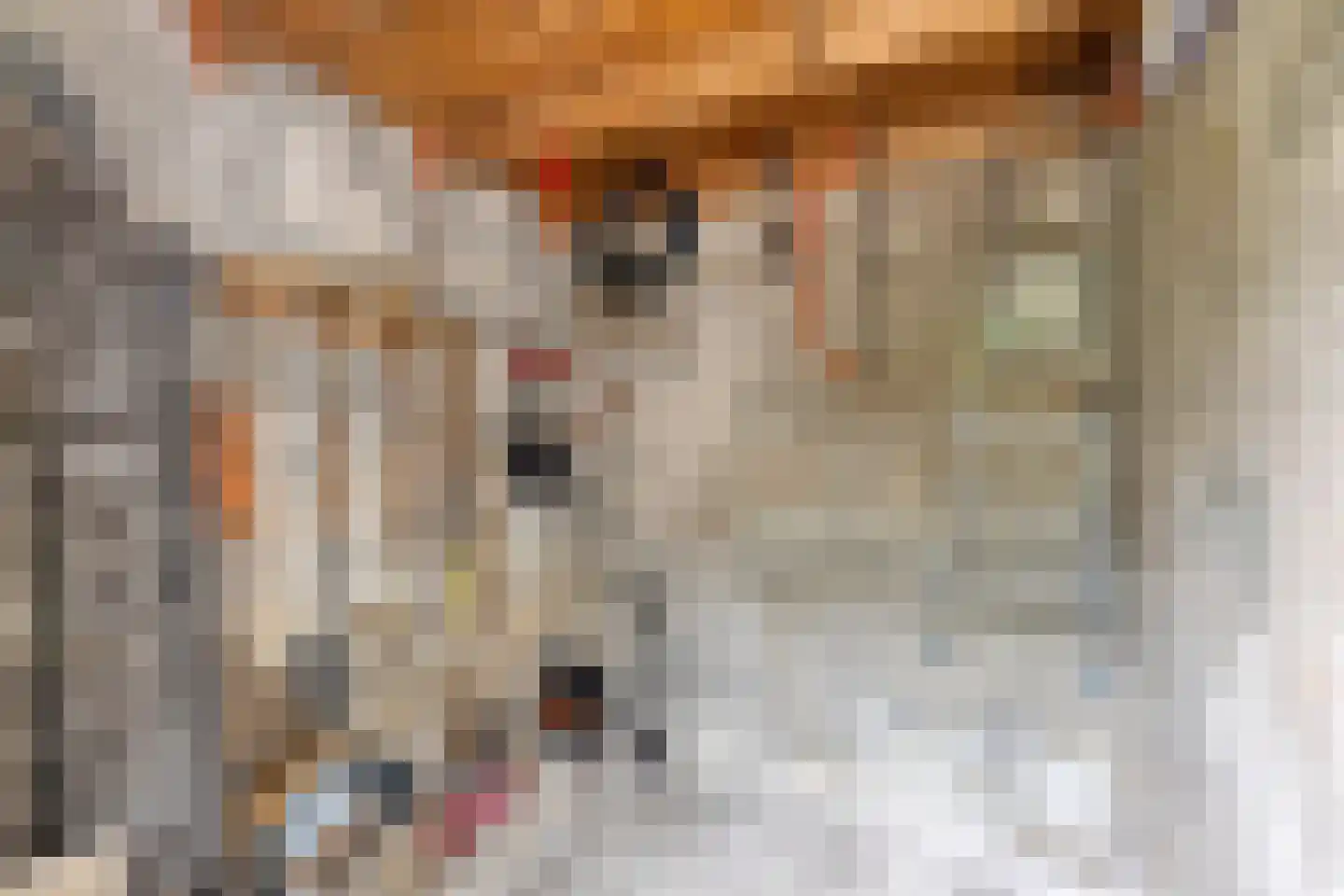 Rosendaalsestraat 222 Arnhem thumbnail 56