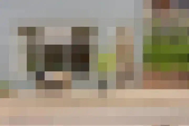 Rosendaalsestraat 249 Arnhem thumbnail 18