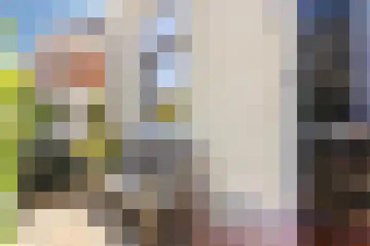 Rosendaalsestraat 311 Arnhem thumbnail 33