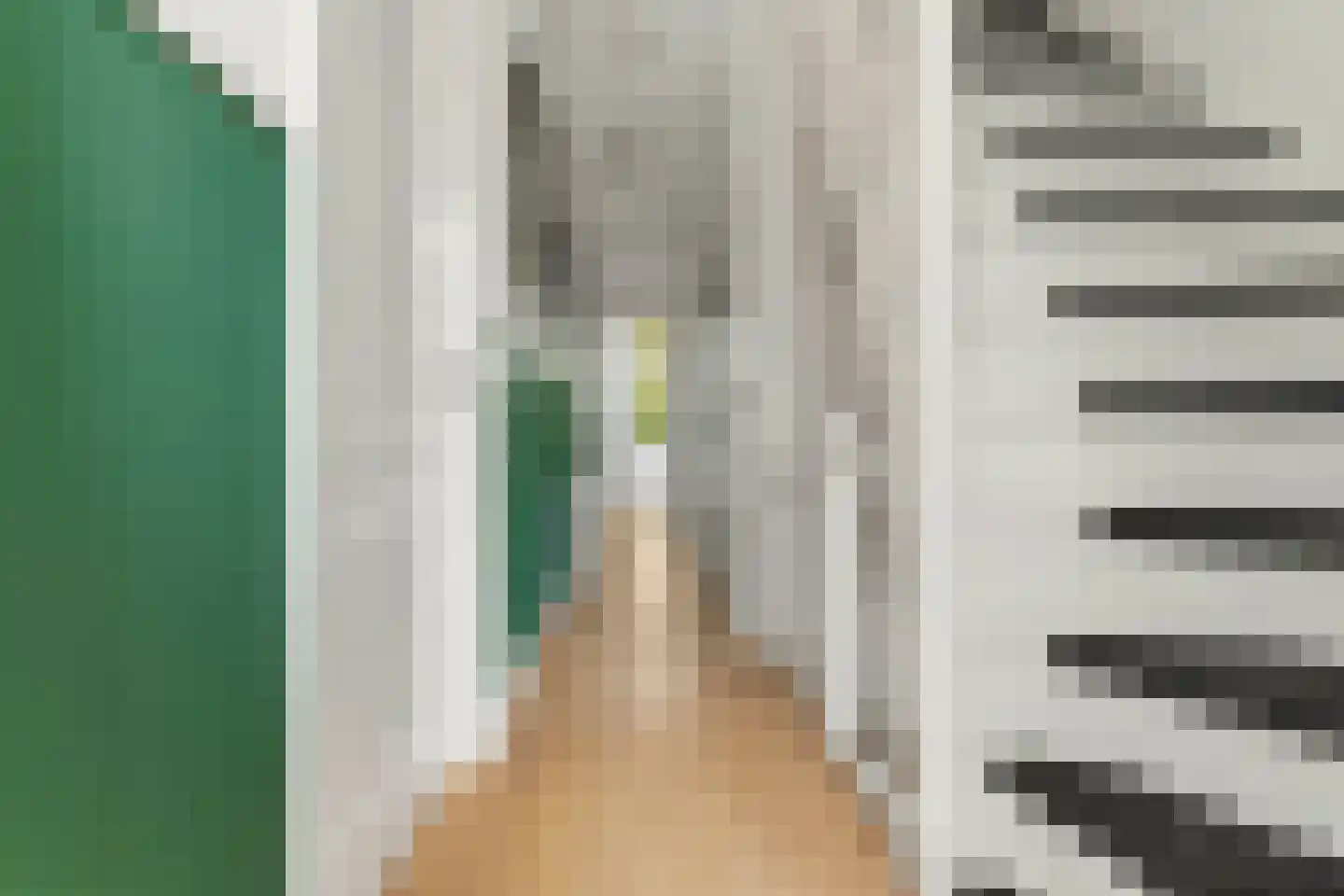 Rosendaalsestraat 335 Arnhem thumbnail 19