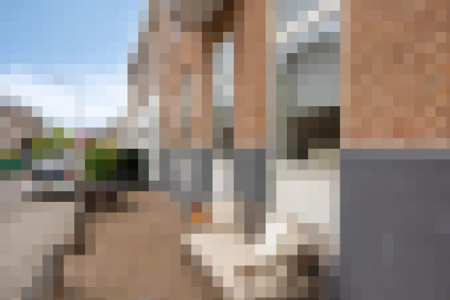 Rosendaalsestraat 337 Arnhem thumbnail 25