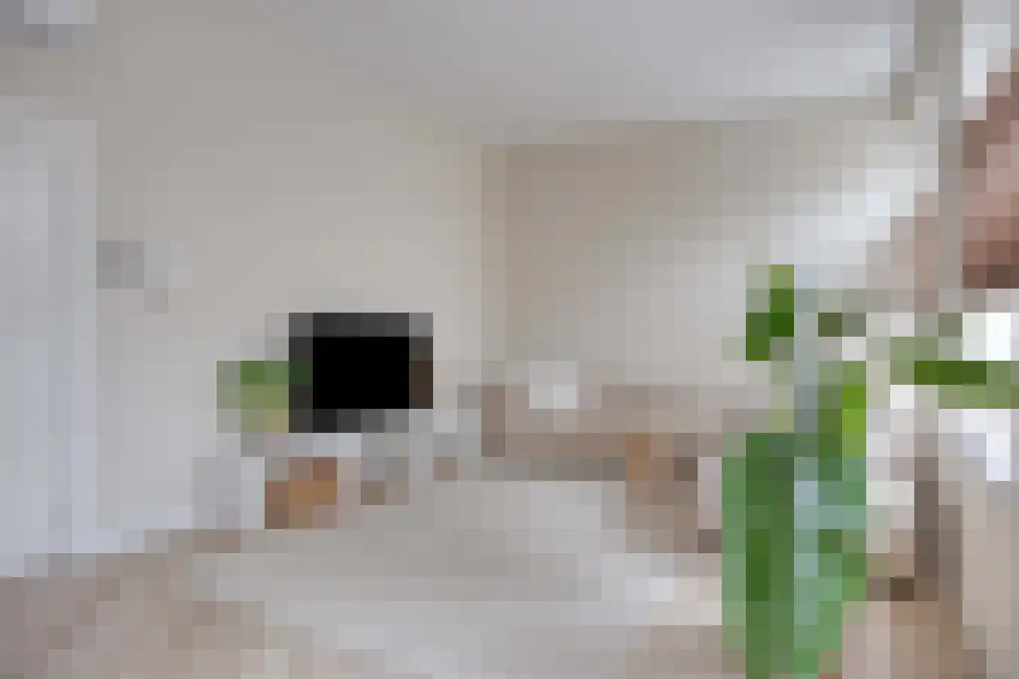 Rosendaalsestraat 337 Arnhem thumbnail 5