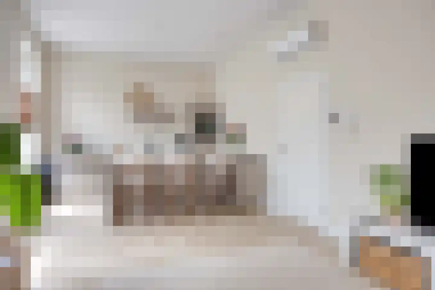 Rosendaalsestraat 337 Arnhem thumbnail 8