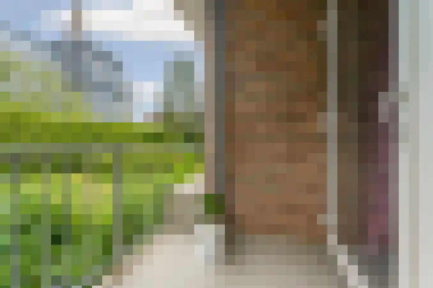 Rosendaalsestraat 346 1 Arnhem thumbnail 11