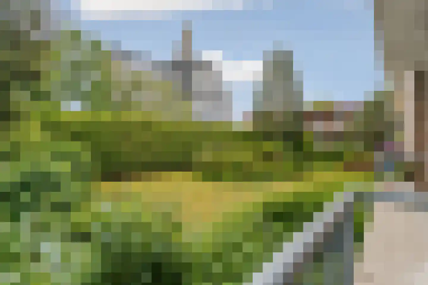 Rosendaalsestraat 346 1 Arnhem thumbnail 12