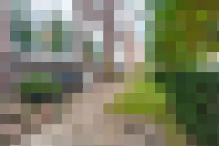 Rosendaalsestraat 377 Arnhem thumbnail 6